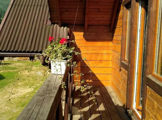 招待所 гуцульський двір 沃罗赫塔